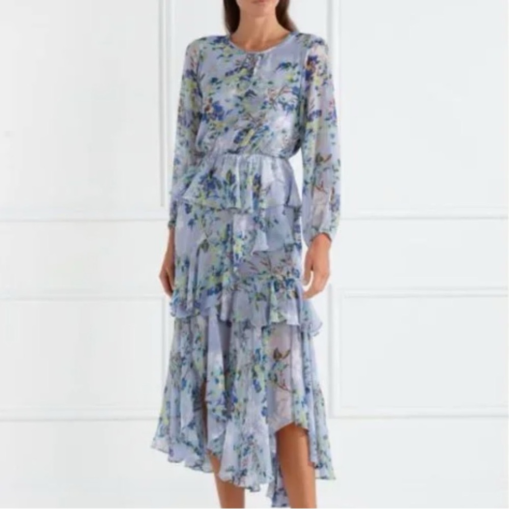 Miss Aditya Floral Ruffle Long Sleeve Maxi Dress